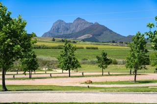 0 Bedroom Property for Sale in Klapmuts Western Cape